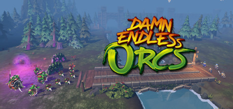 Damn Endless Orcs Cover Image