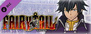 FAIRY TAIL: Gray's Costume "Fairy Tail Team A"