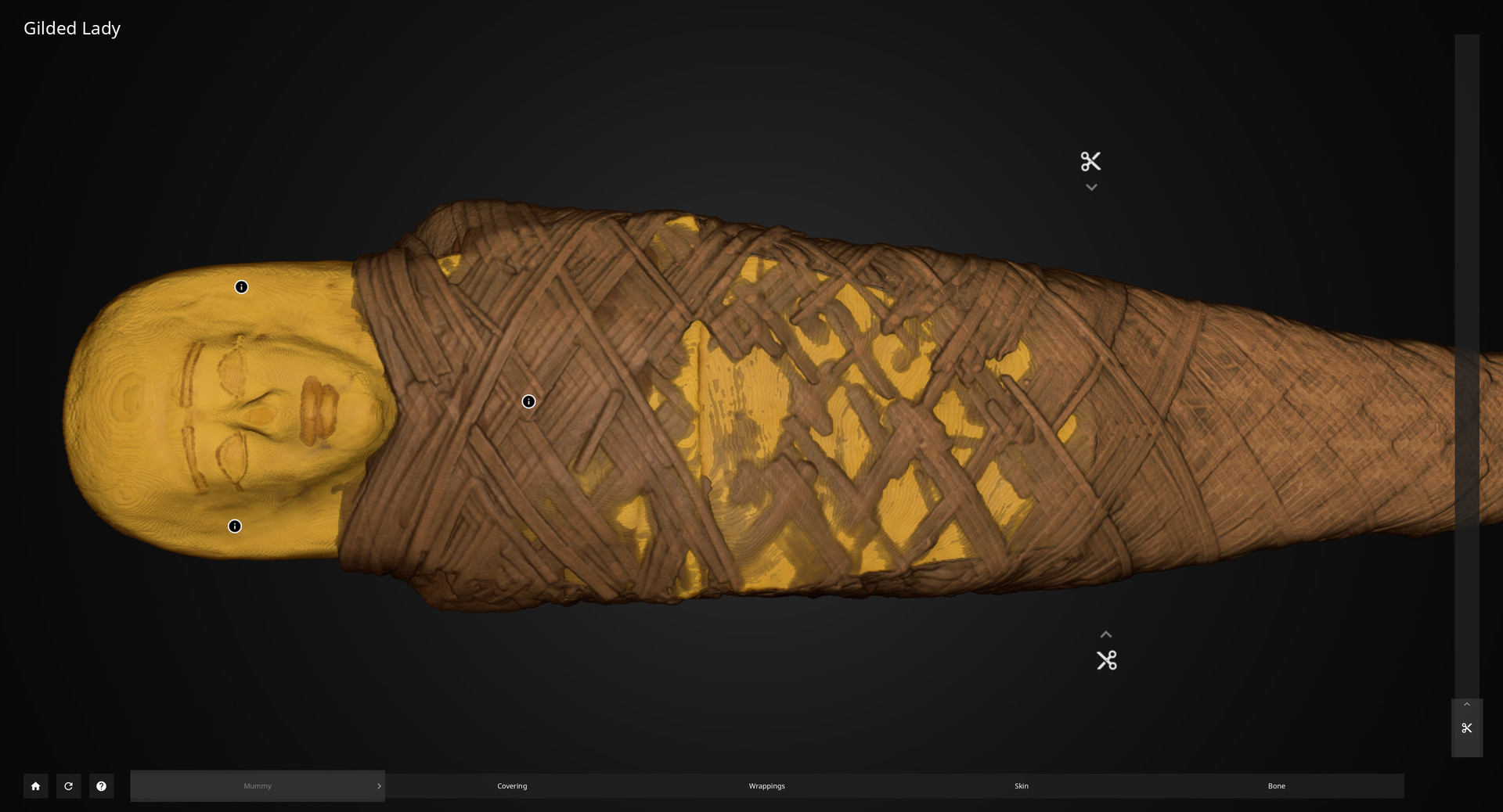 Inside Explorer: The Gilded Lady Featured Screenshot #1