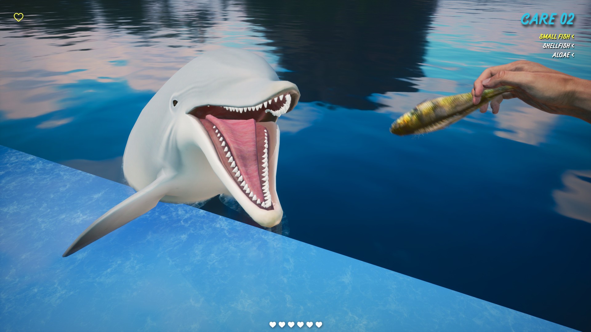 Best dolphin shop vr games