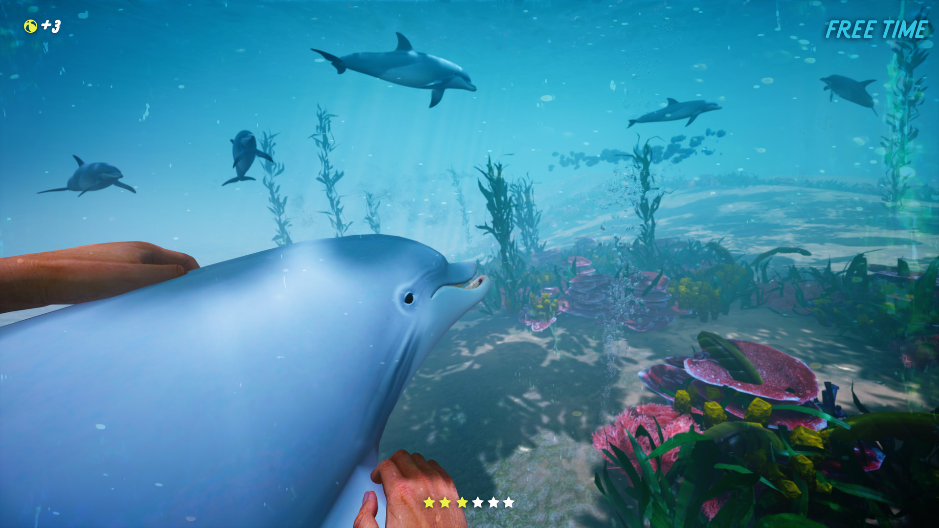 Best dolphin shop vr games