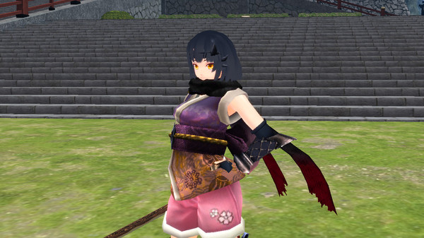 Onigiri Premium Support Pack