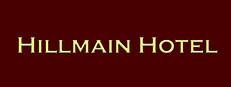 Hillmain Hotel 게임 이미지