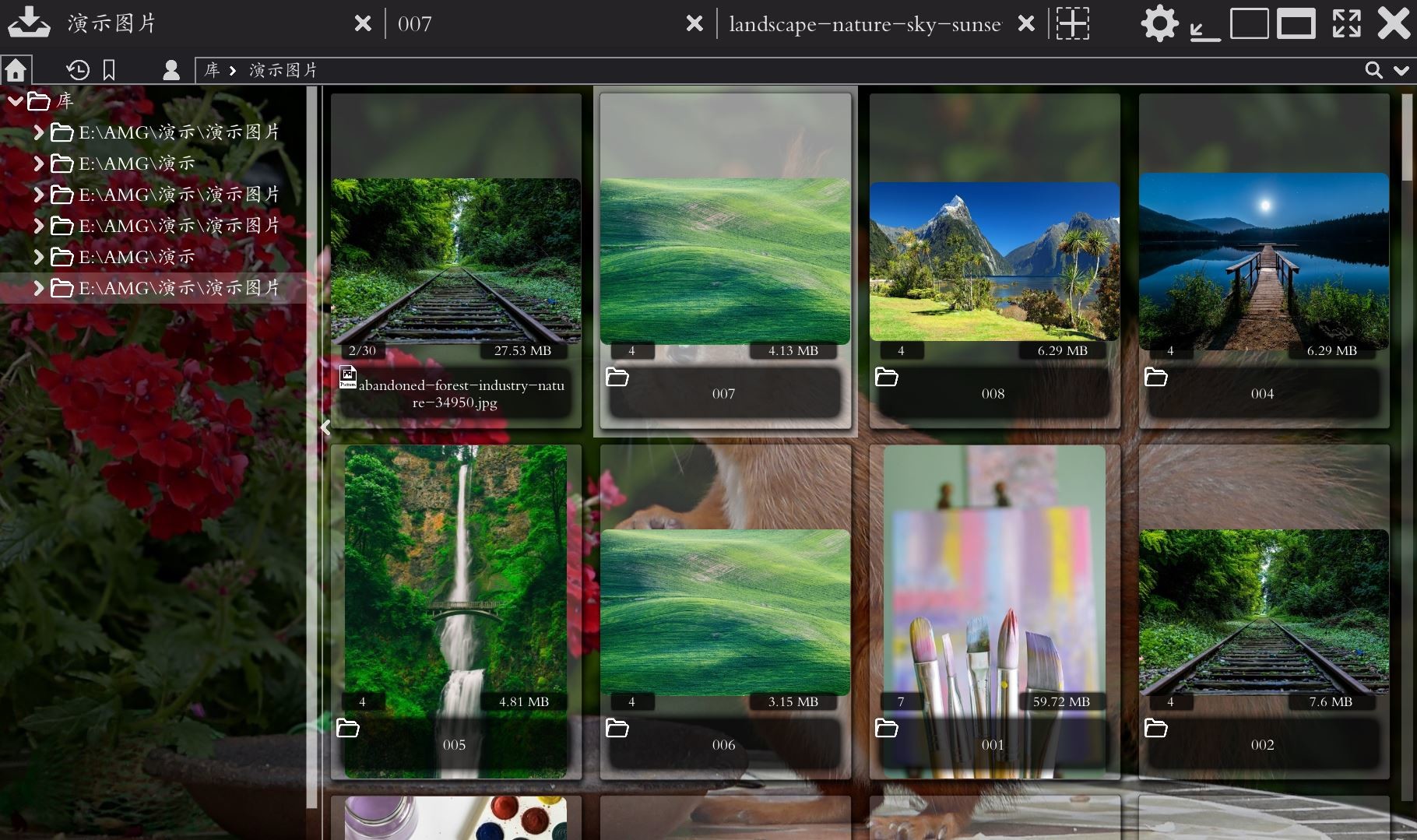 Comic&Picture Shelf screenshot 2