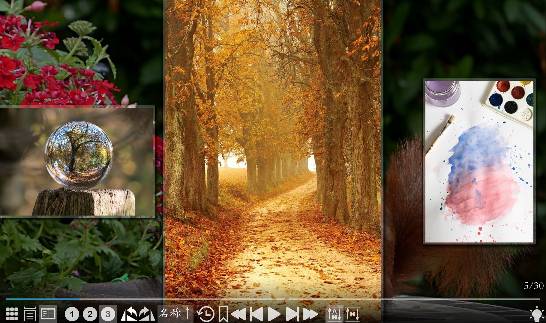 Comic&Picture Shelf #3