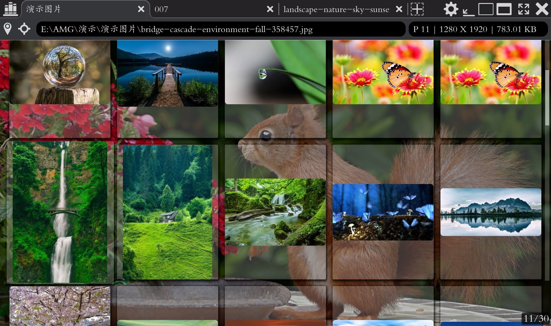 Comic&Picture Shelf #4