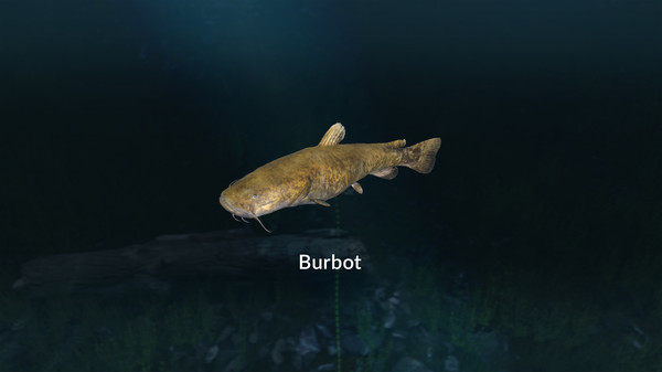 Ultimate Fishing Simulator - New Fish Species