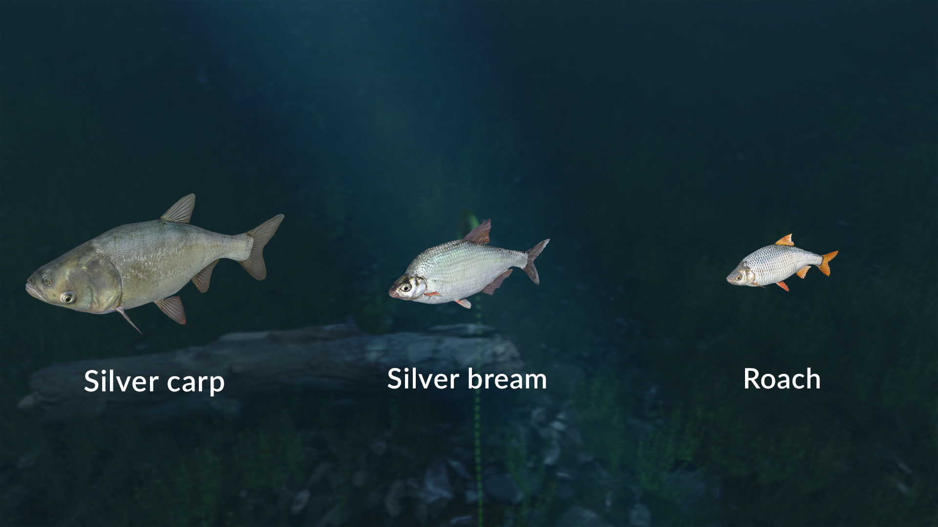 Ultimate Fishing Simulator - New Fish Species screenshot screenshot 5