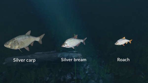 скриншот Ultimate Fishing Simulator - New Fish Species 5