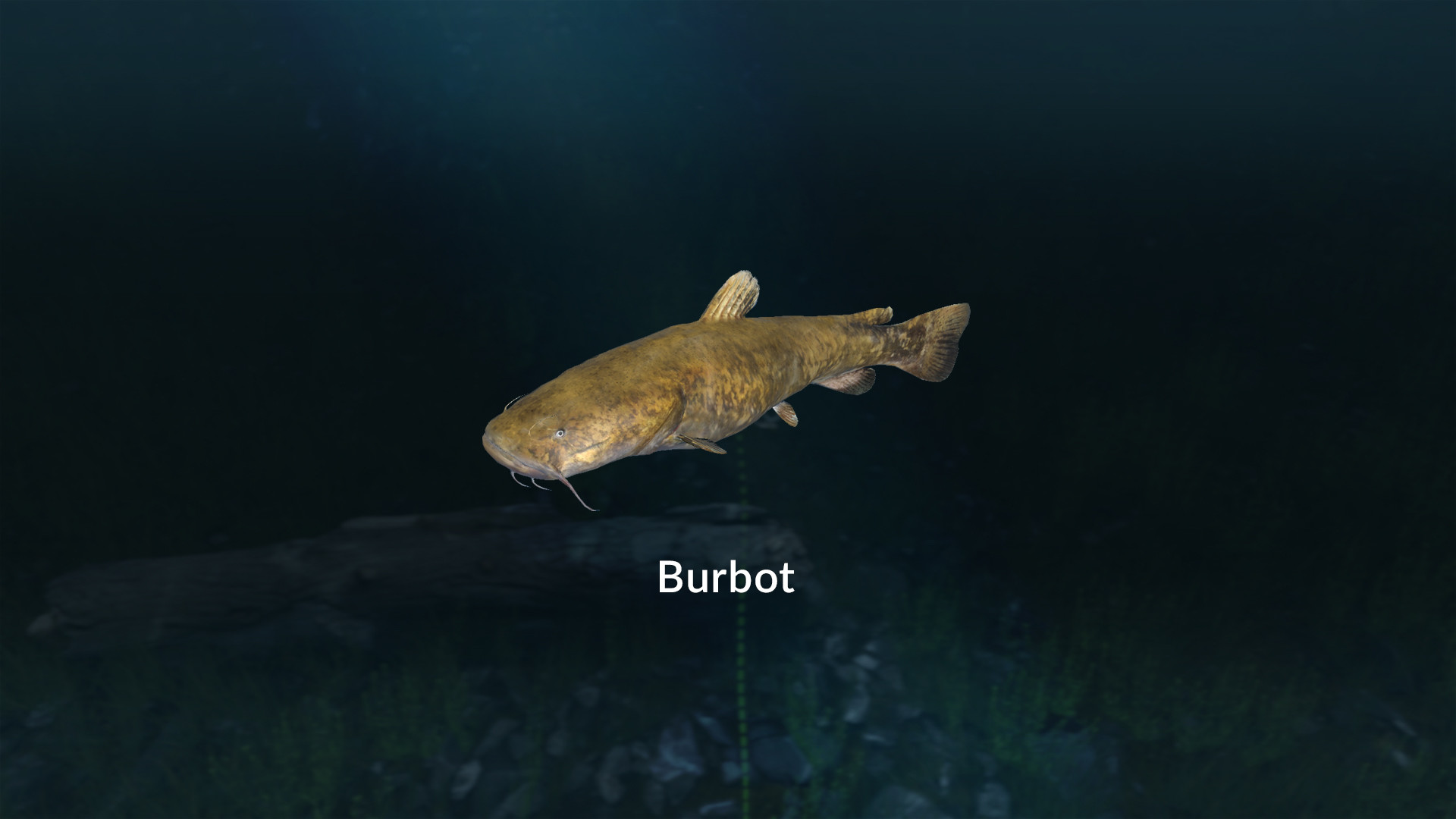 Ultimate Fishing Simulator VR - New Fish Species screenshot screenshot 1