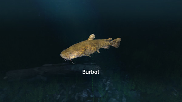 скриншот Ultimate Fishing Simulator VR - New Fish Species 1