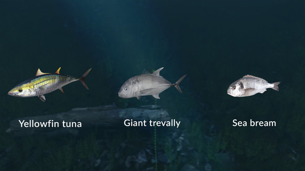 Ultimate Fishing Simulator VR - New Fish Species