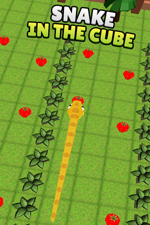 Snake In The Cube Steam CD Key