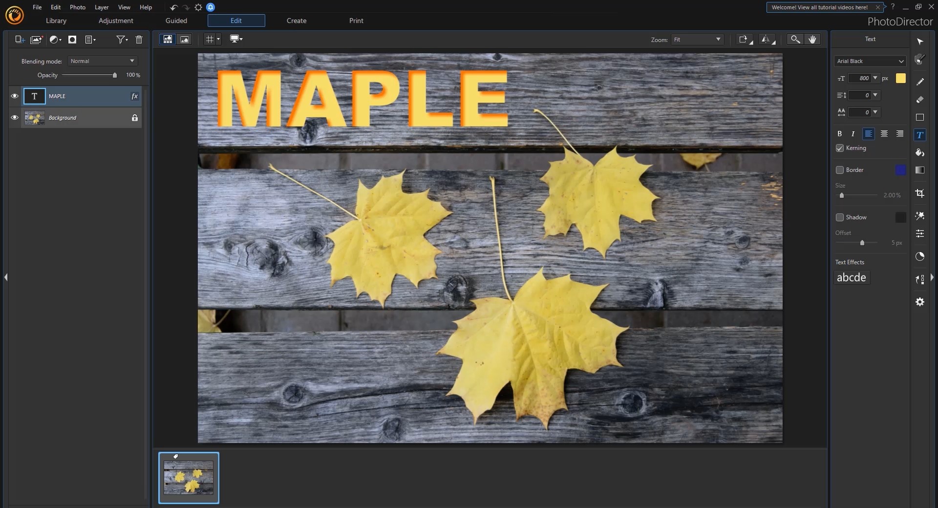 CyberLink PhotoDirector 12 Ultra screenshot screenshot 7