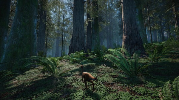 Isles of Yore CD Key 2