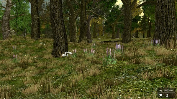 скриншот GameGuru - Trees, Plants & Rocks Pack 5