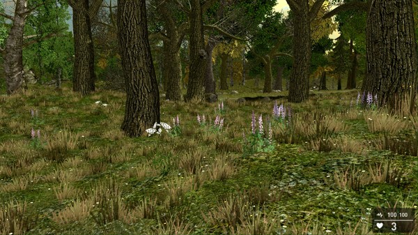 GameGuru - Trees, Plants & Rocks Pack