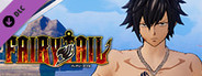 FAIRY TAIL: Gray's Costume "Special Swimsuit"