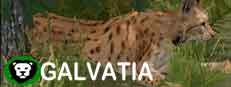 Galvatia 게임 이미지