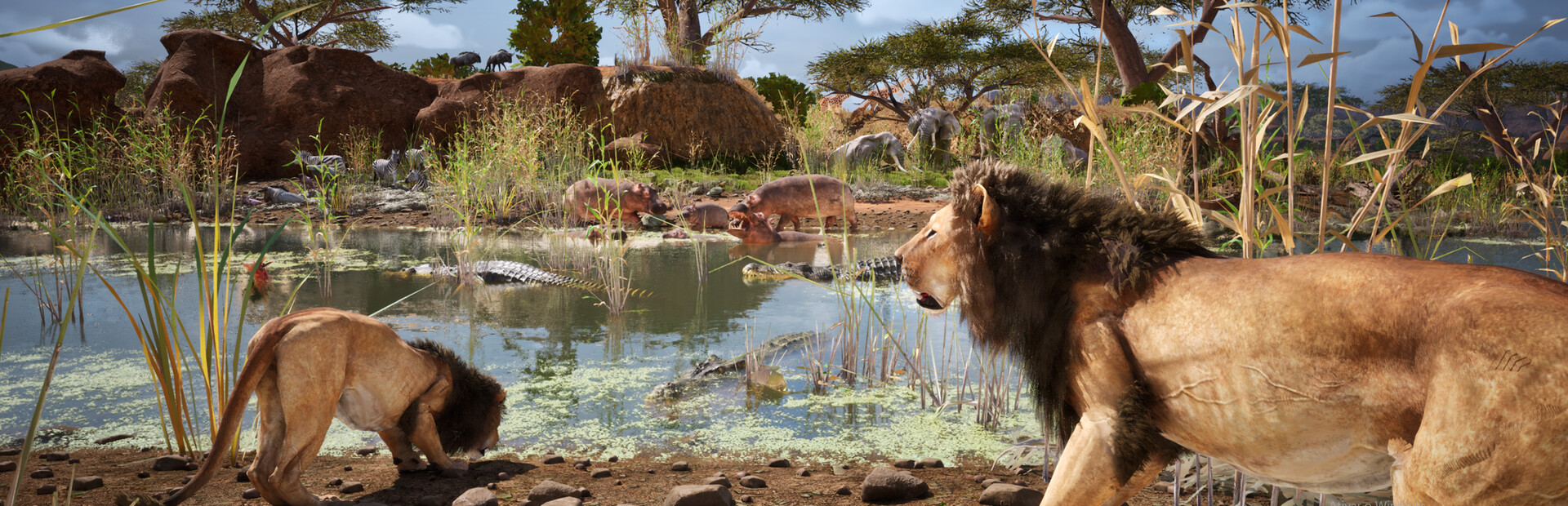 Animalia Survival