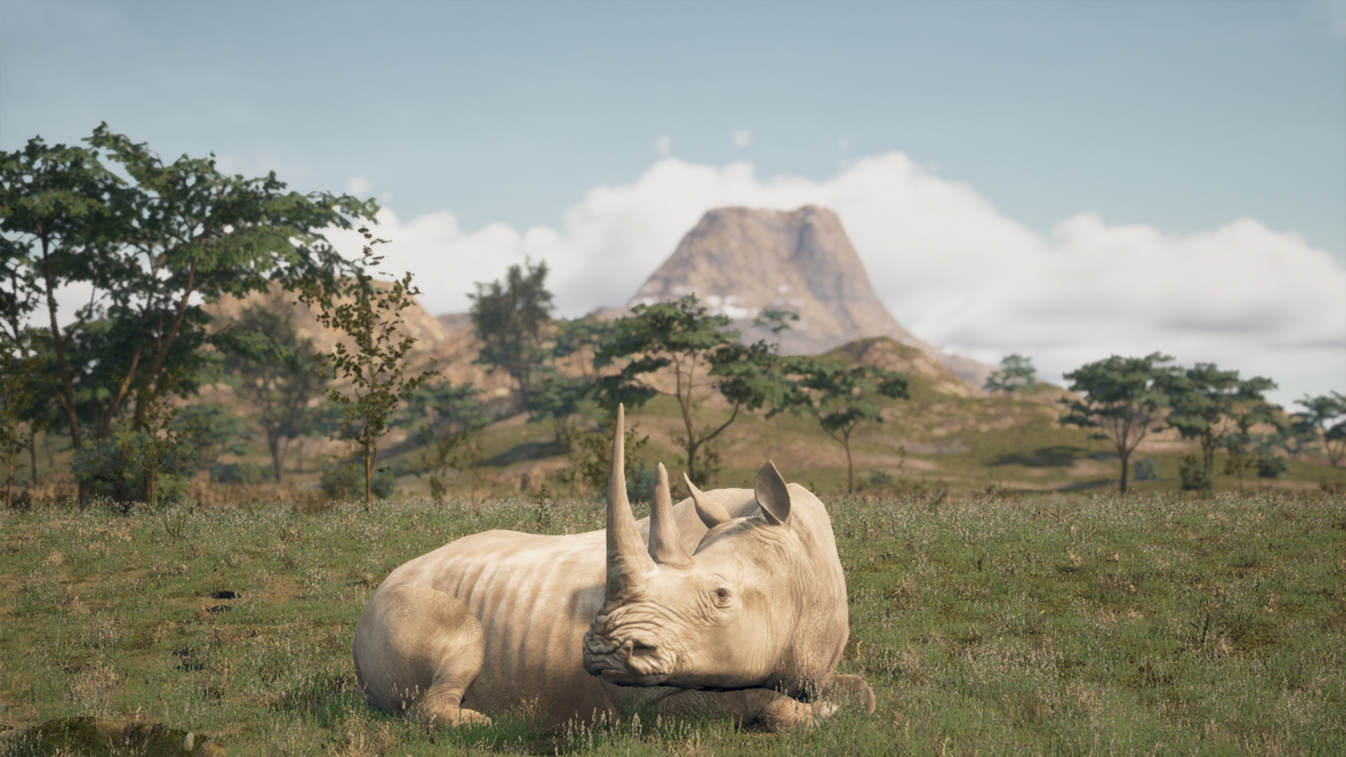 Animalia Survival on Steam