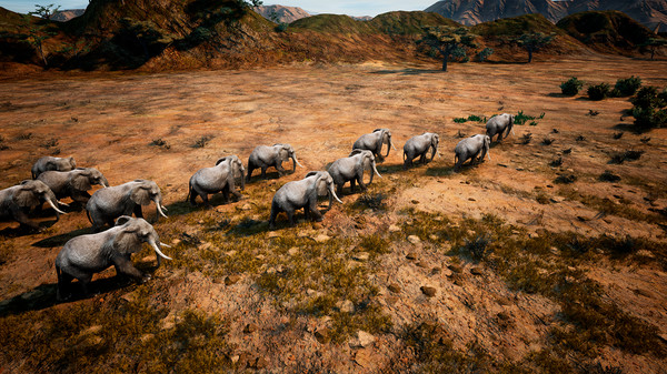 Animalia Survivalfor windows and Linux 1