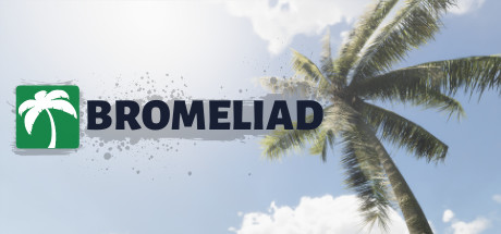 Image for Bromeliad