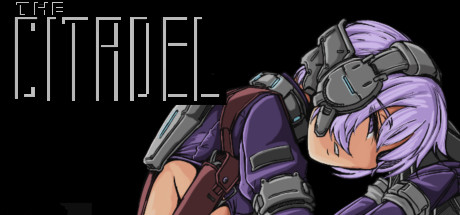 The Citadel header image