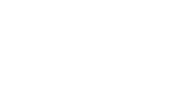 The Citadel