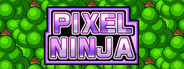 Pixel Ninja