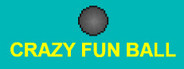 Crazy Fun Ball