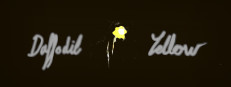 Daffodil Yellow: A few poems from an insect collector