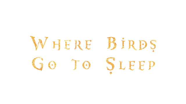 Where Birds Sleep