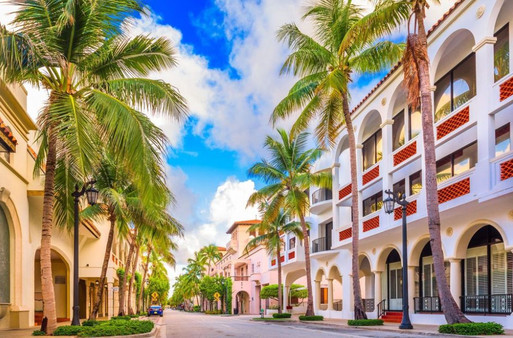 скриншот Palms 0