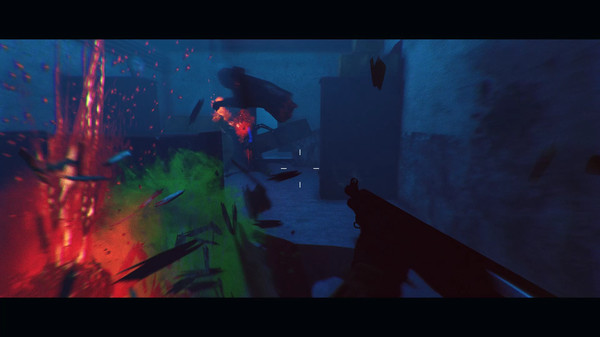 The Cleanerfor windows and Linux 1