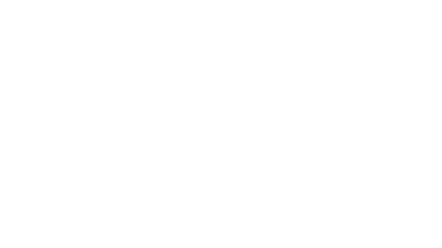 Midnight Fight Express