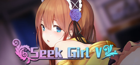 Seek Girl V technical specifications for computer