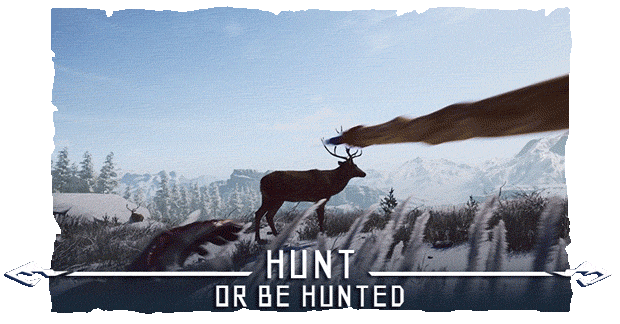steam/apps/1394960/extras/hunt.gif?t=1709777572