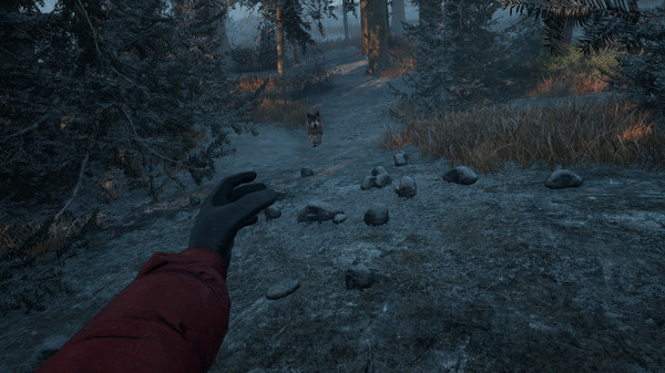 Скриншот из Winter Survival
