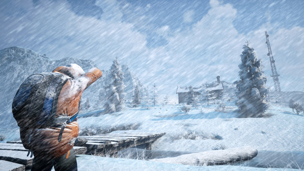 Скриншот из Winter Survival