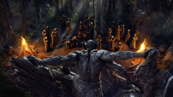 Скриншот из The Elder Scrolls Online: Blackwood