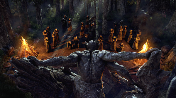 скриншот The Elder Scrolls Online - Blackwood 3