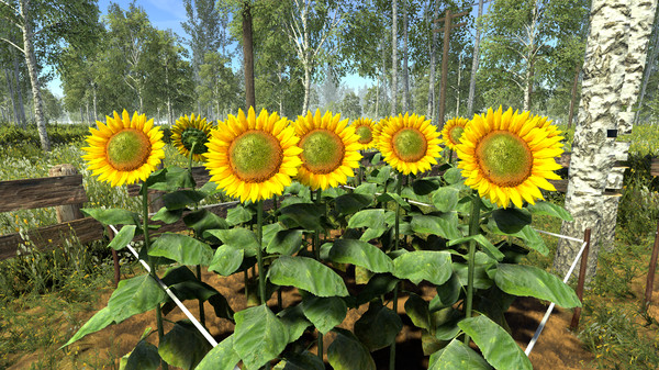 Скриншот из Garden Simulator Скриншот из Garden Simulator