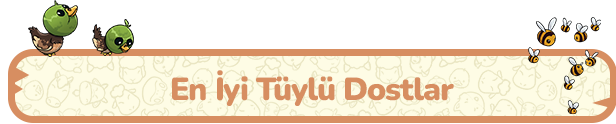 tr-The_Best_of_Fluffy_Sidekicks.png