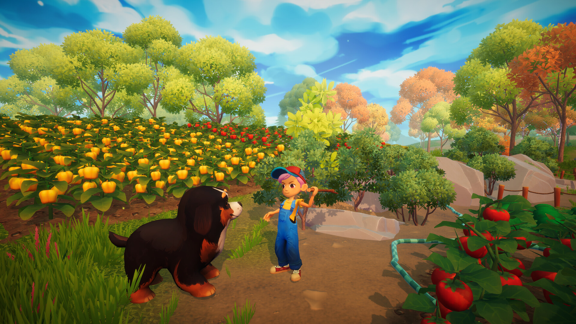 Let's Explore the Fruits Garden via VR