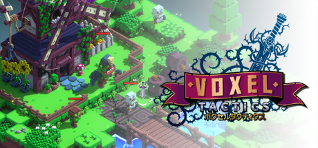 Voxel Tactics Cover Image