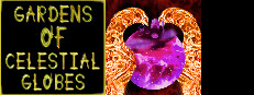 Gardens Of Celestial Globes 게임 이미지