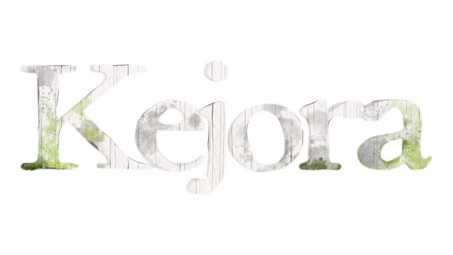 Library Logo - Game logo for library