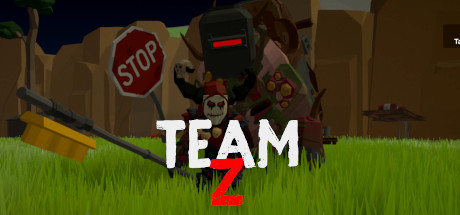 Team-Z banner image