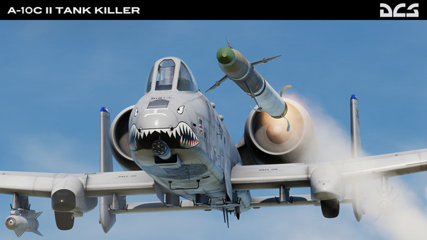 DCS: A-10C II Warthog